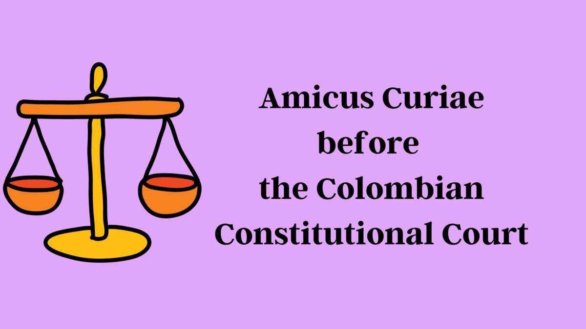 Women on Web presents Amicus Curiae before the Colombian Constitutional Court
