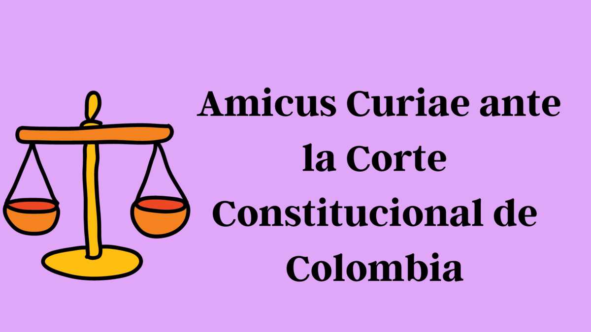 Women on Web presents Amicus Curiae before the Colombian Constitutional Court